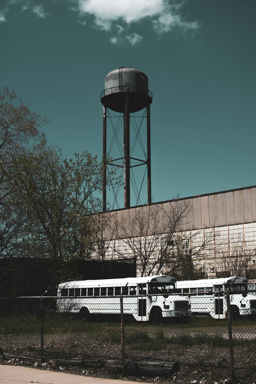 white and black bus on road during daytime