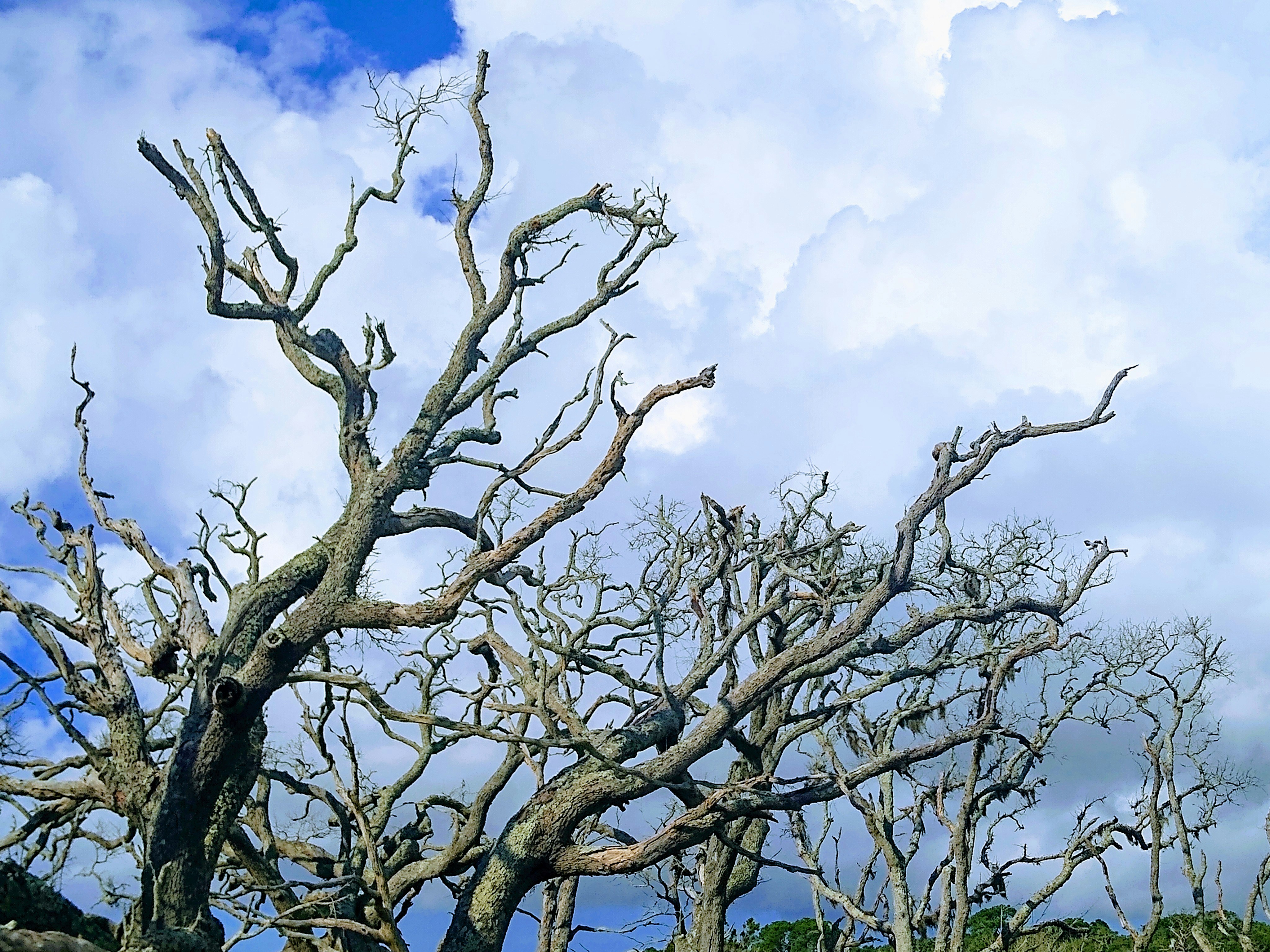 Photo by triniinbago