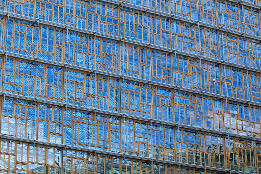 blue and white concrete building