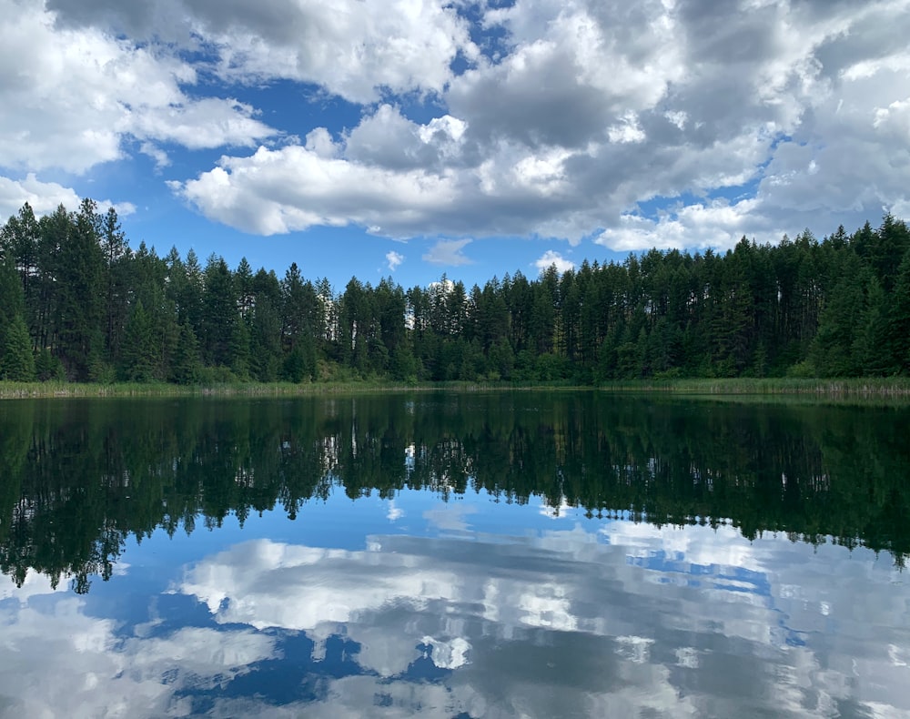 green trees beside lake under white clouds and blue sky during daytime