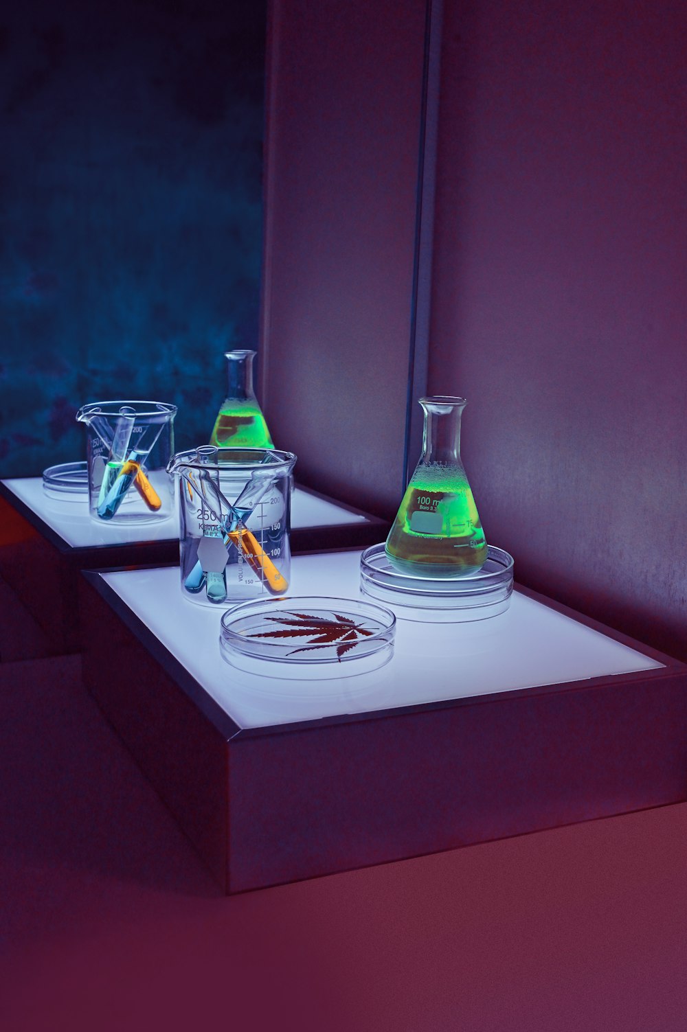 clear glass bottles on white table