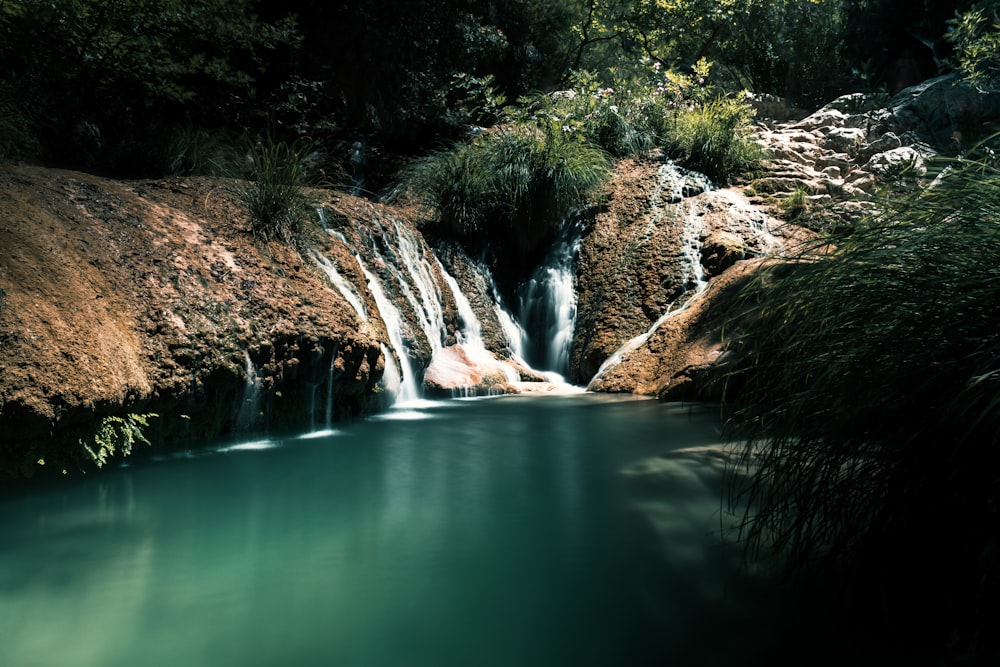 green river between green trees during daytime