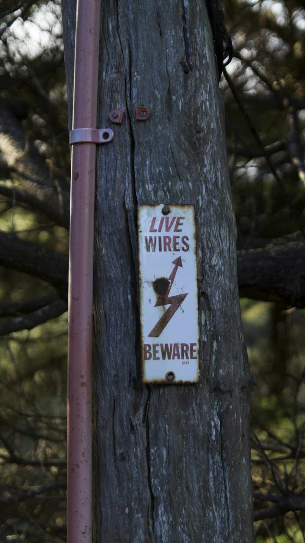 brown wooden signage on brown wooden post