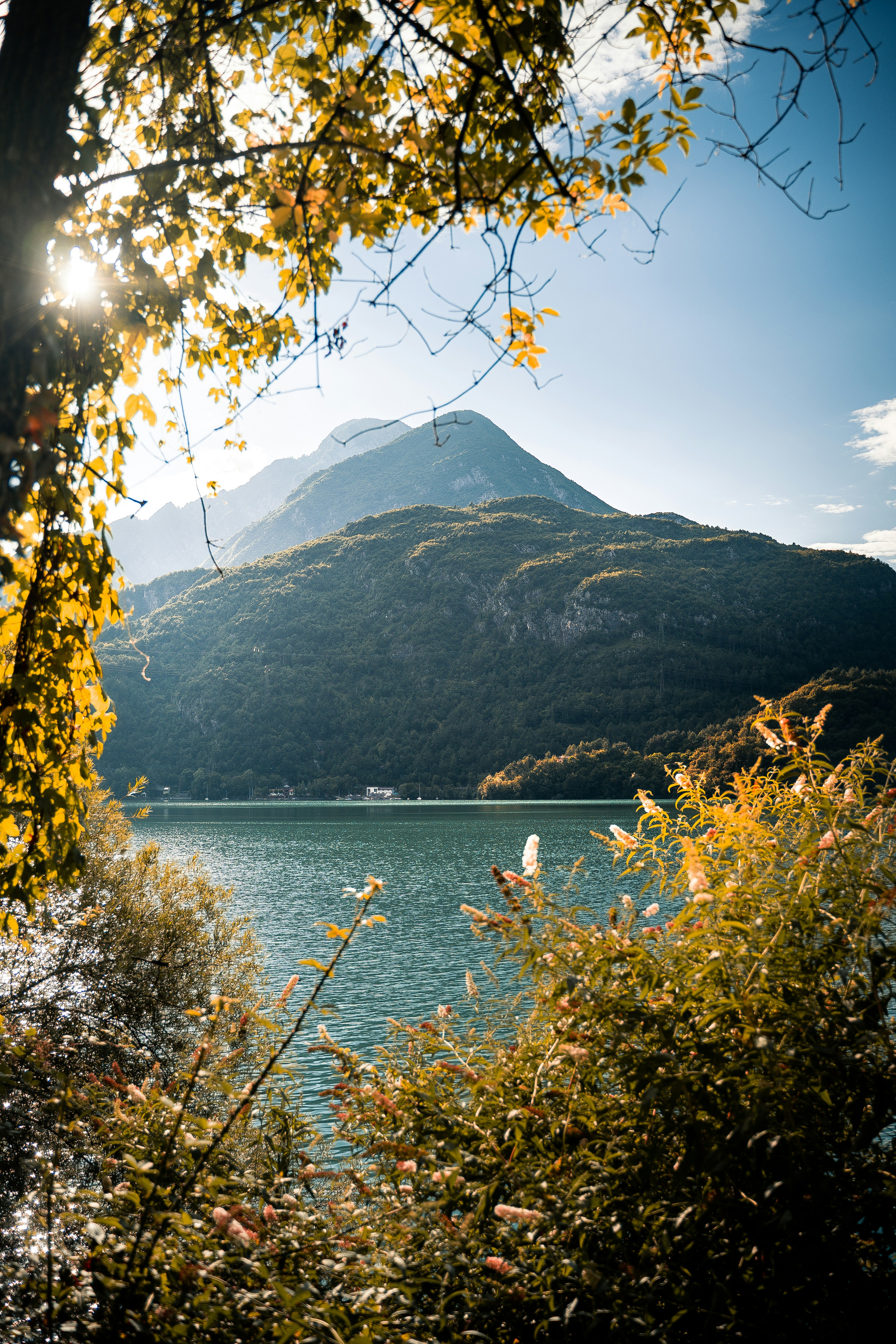 Photo by simonardo