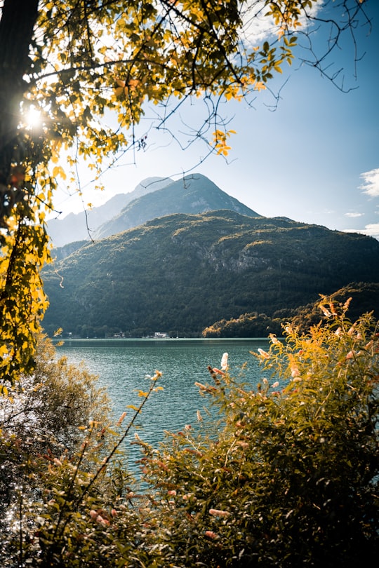 green and brown mountain beside body of water during daytime in Comune di Cavazzo Carnico Italy