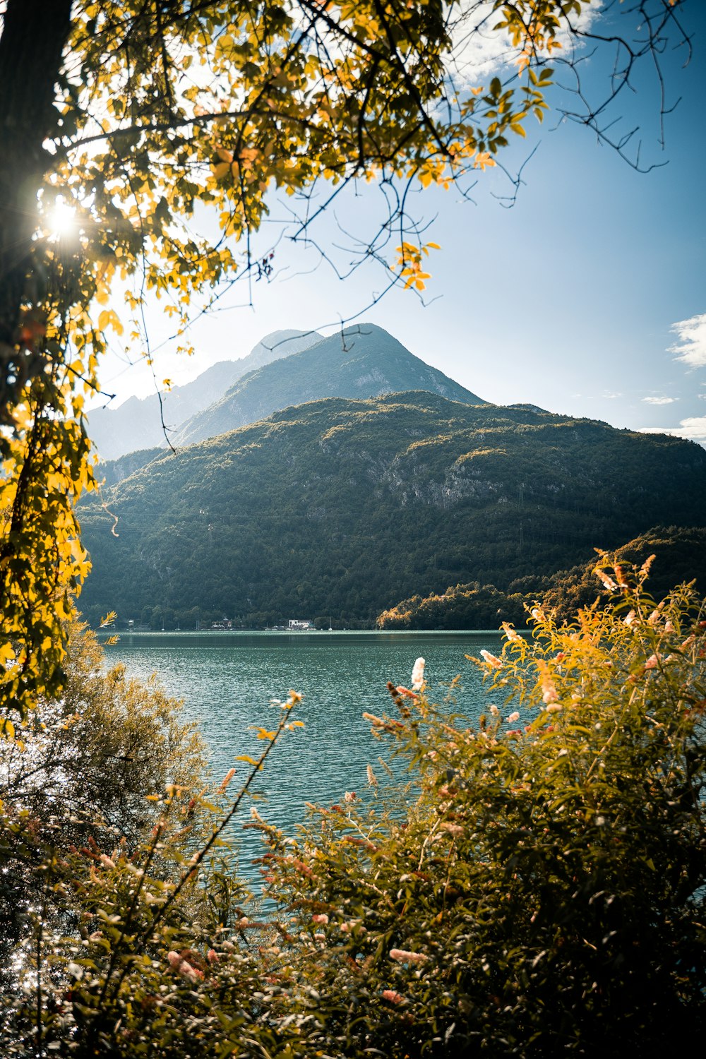 green and brown mountain beside body of water during daytime