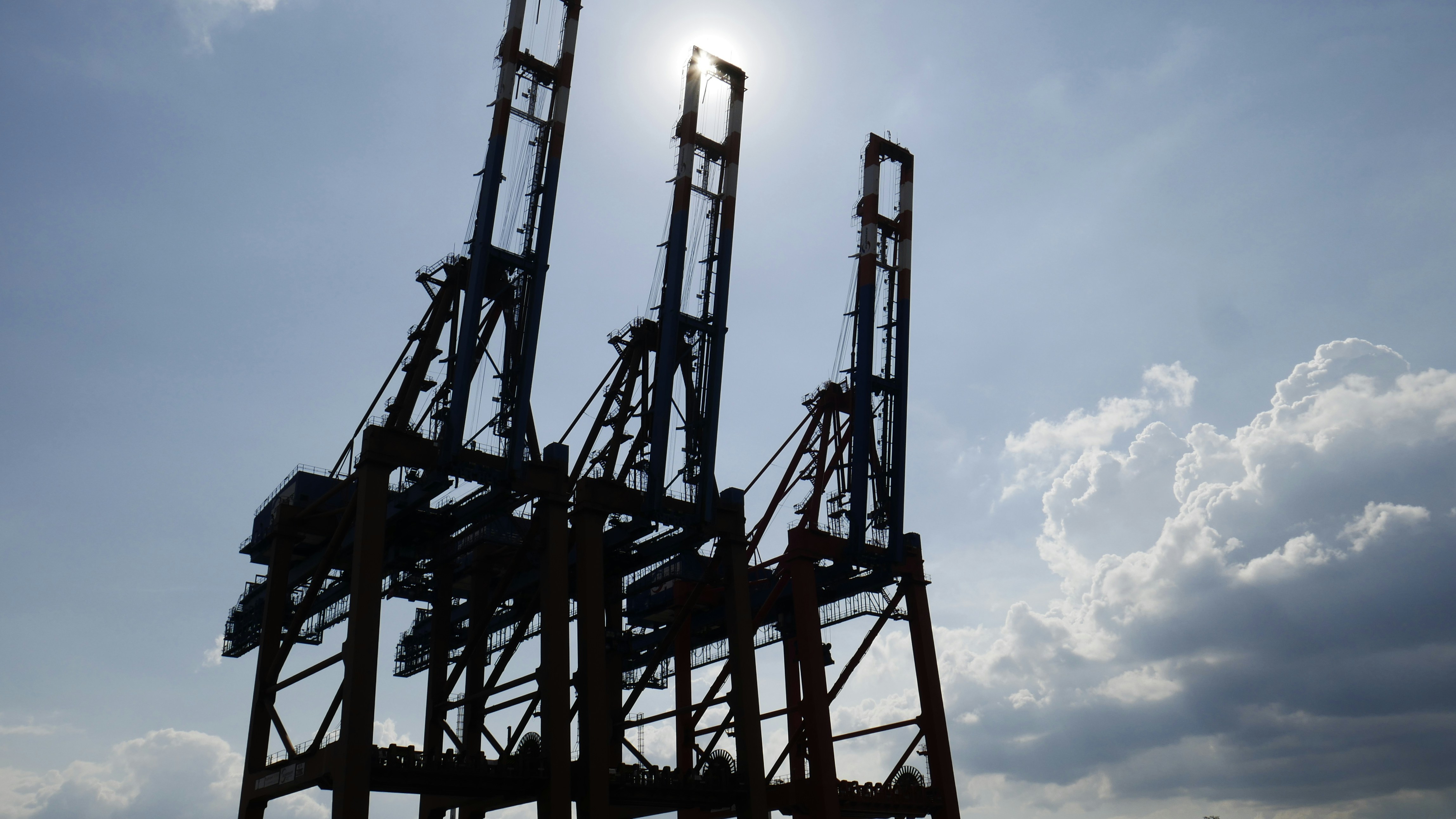 Photo by noahfranitza