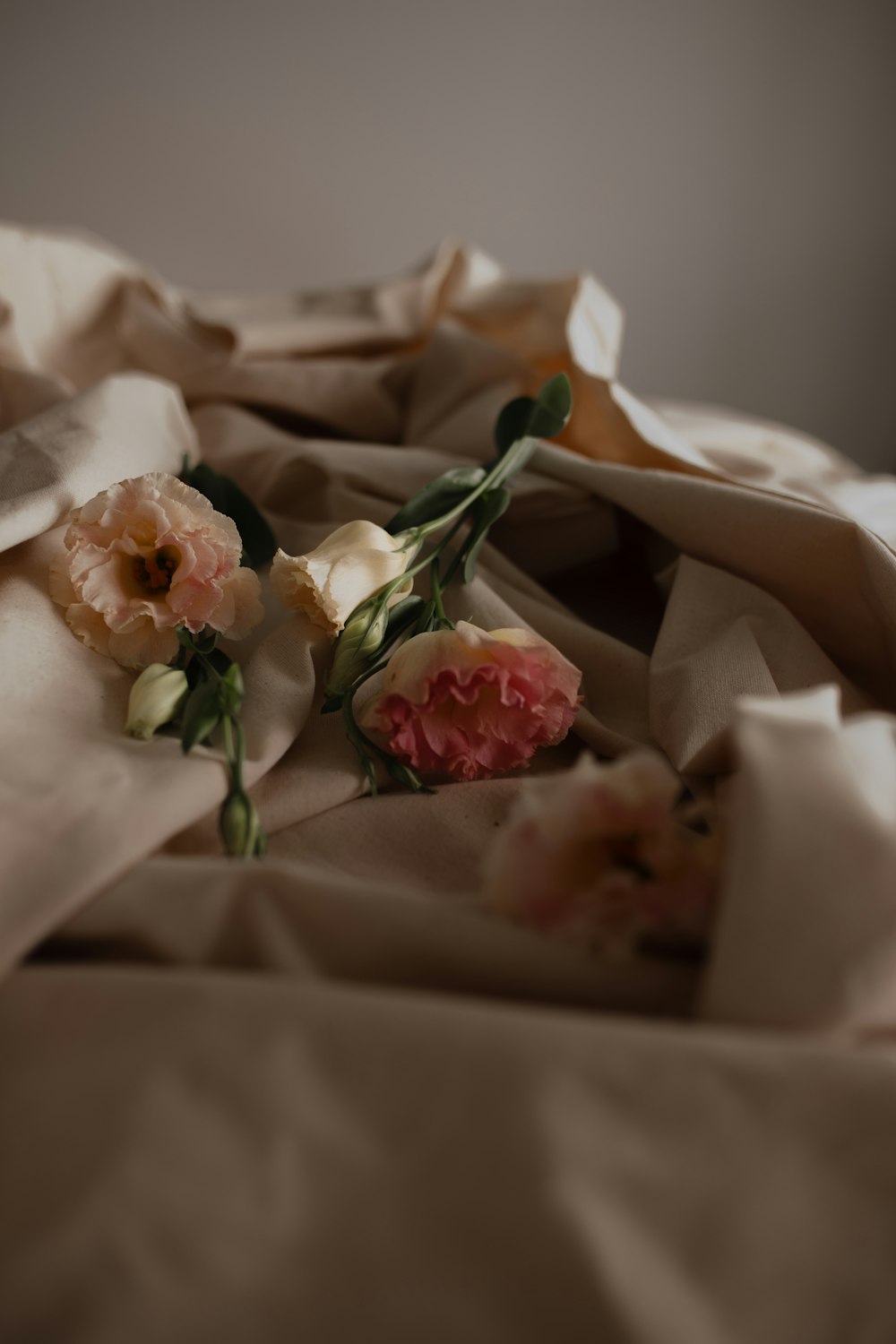 white and red roses on white textile