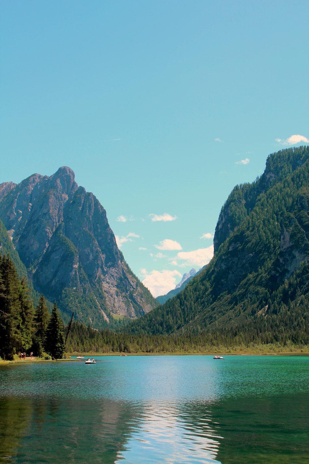 Grüne Bäume in der Nähe von See und Bergen tagsüber