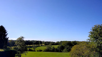 Wide shot of a green plot of land surrounded by trees under clear sky