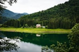 A serene lake reflects a dense forest with lush green trees on a hillside. A rustic, beige building is nestled among the trees, surrounded by vibrant greenery. The water of the lake mirrors the trees and provides a peaceful atmosphere, with distant mountains in the background under an overcast sky.