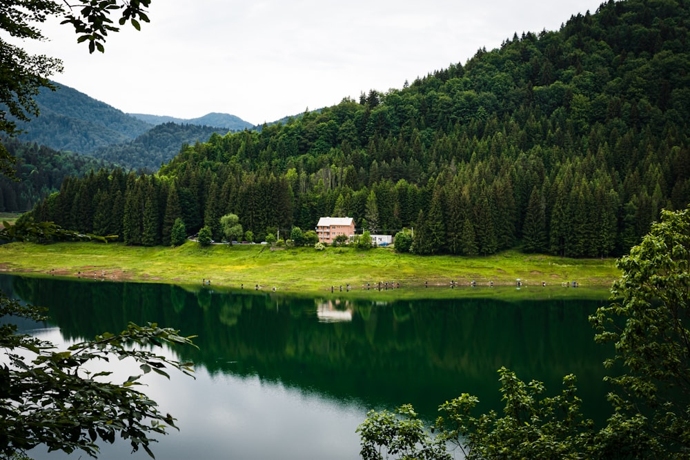 white and brown house on green grass field near lake and green trees during daytime