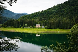 A serene lake reflects a dense forest with lush green trees on a hillside. A rustic, beige building is nestled among the trees, surrounded by vibrant greenery. The water of the lake mirrors the trees and provides a peaceful atmosphere, with distant mountains in the background under an overcast sky.