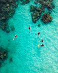 PADI scuba diving instructor guiding a group underwater near Koh Phangan coral reefs.