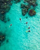 Group of friends enjoying snorkeling amid colorful coral reefs