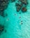 A group of divers with snorkeling gear can be seen swimming in clear turquoise water above patches of coral reefs. The image captures the underwater scenery with the vibrant coral visible beneath the surface.