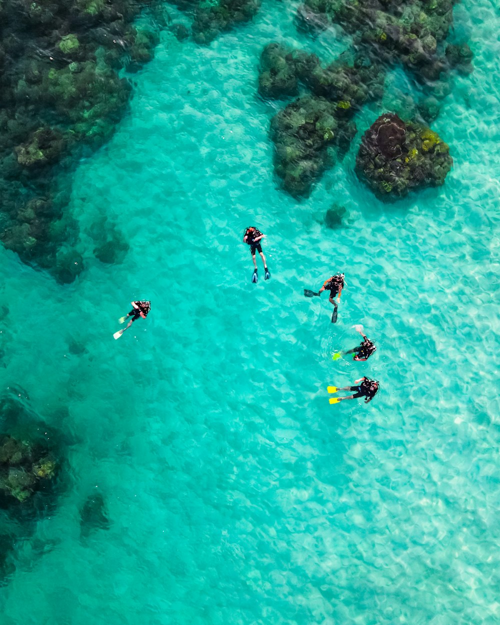 昼間、海で泳ぐ人々