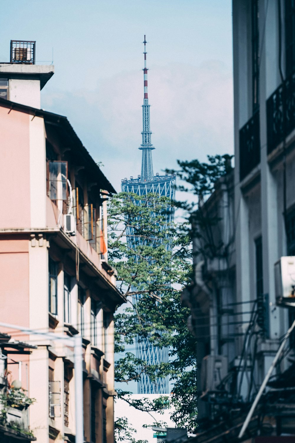 albero verde accanto all'edificio in cemento bianco durante il giorno