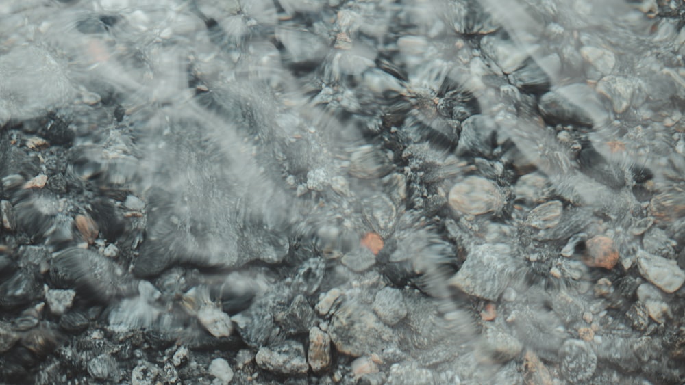 white and brown stone fragments