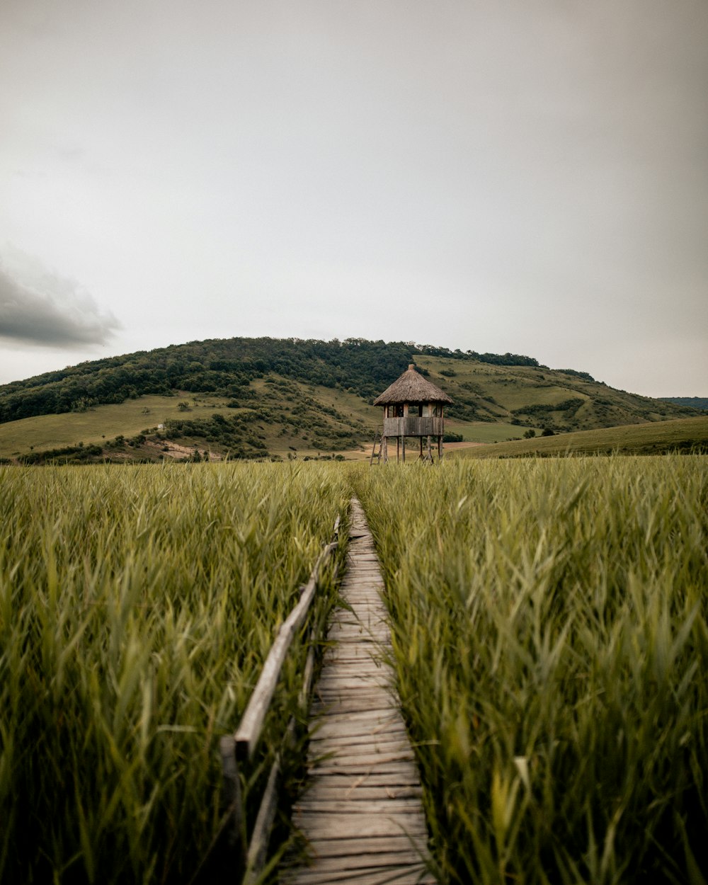 brown wooden house on green grass field under cloudy sky during daytime