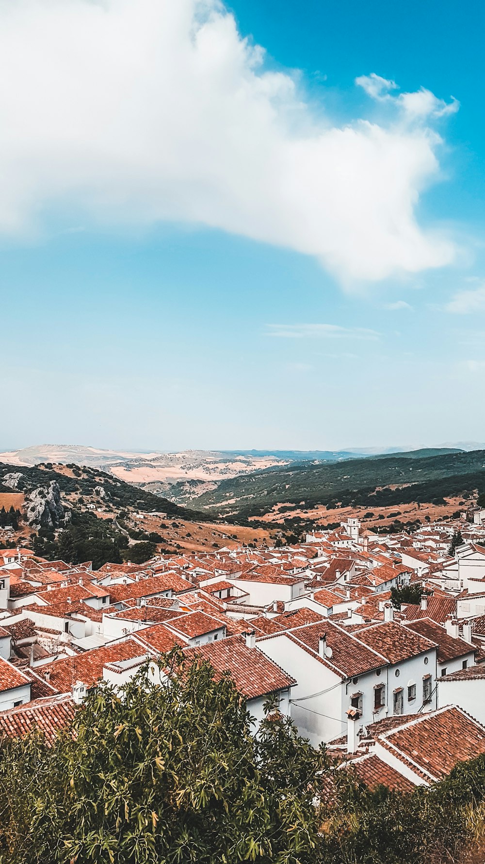 Casas marrones y blancas bajo nubes blancas y cielo azul durante el día