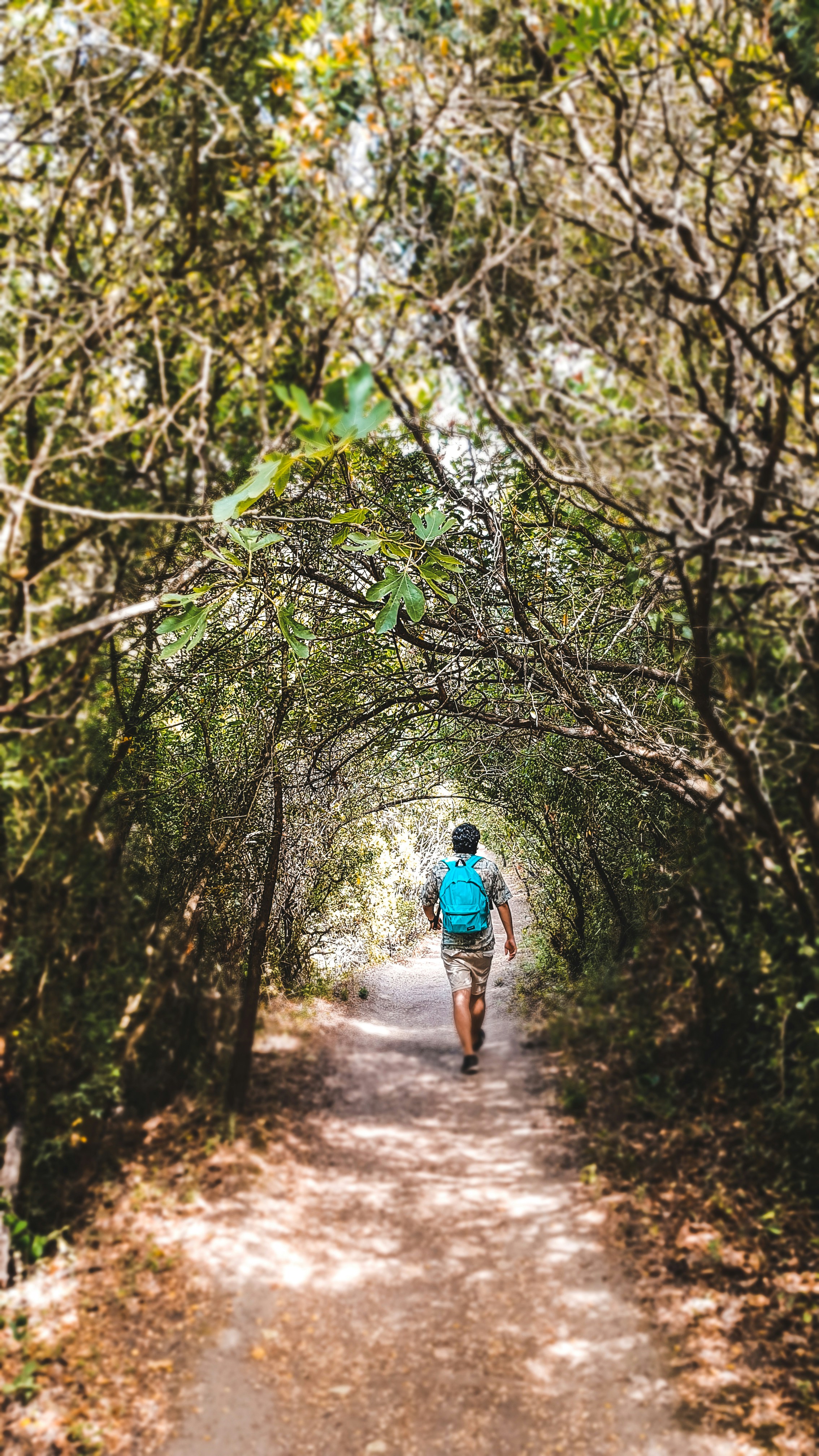 Photo by inmasantiago