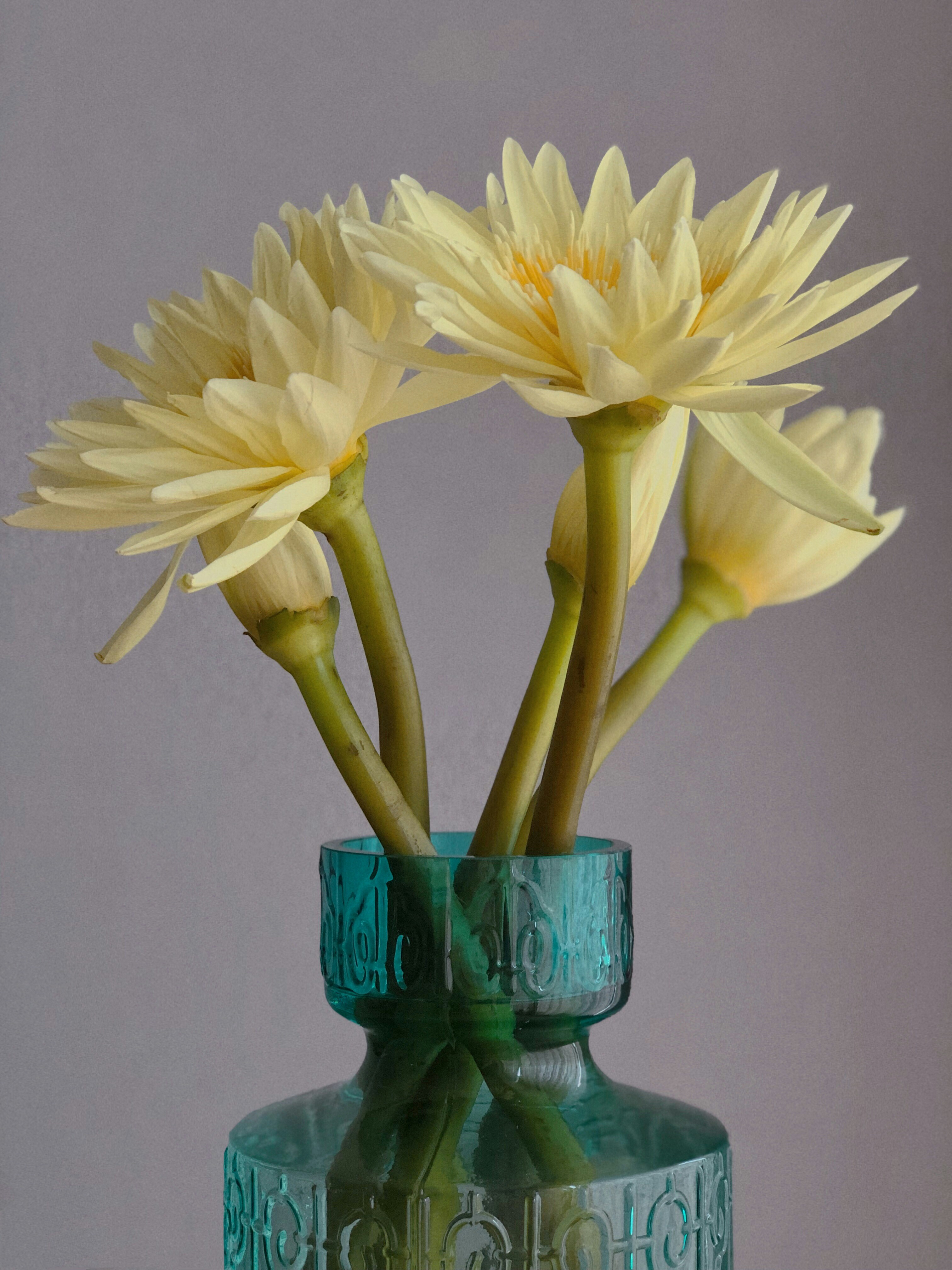 Photo by yuanyuan_zhai