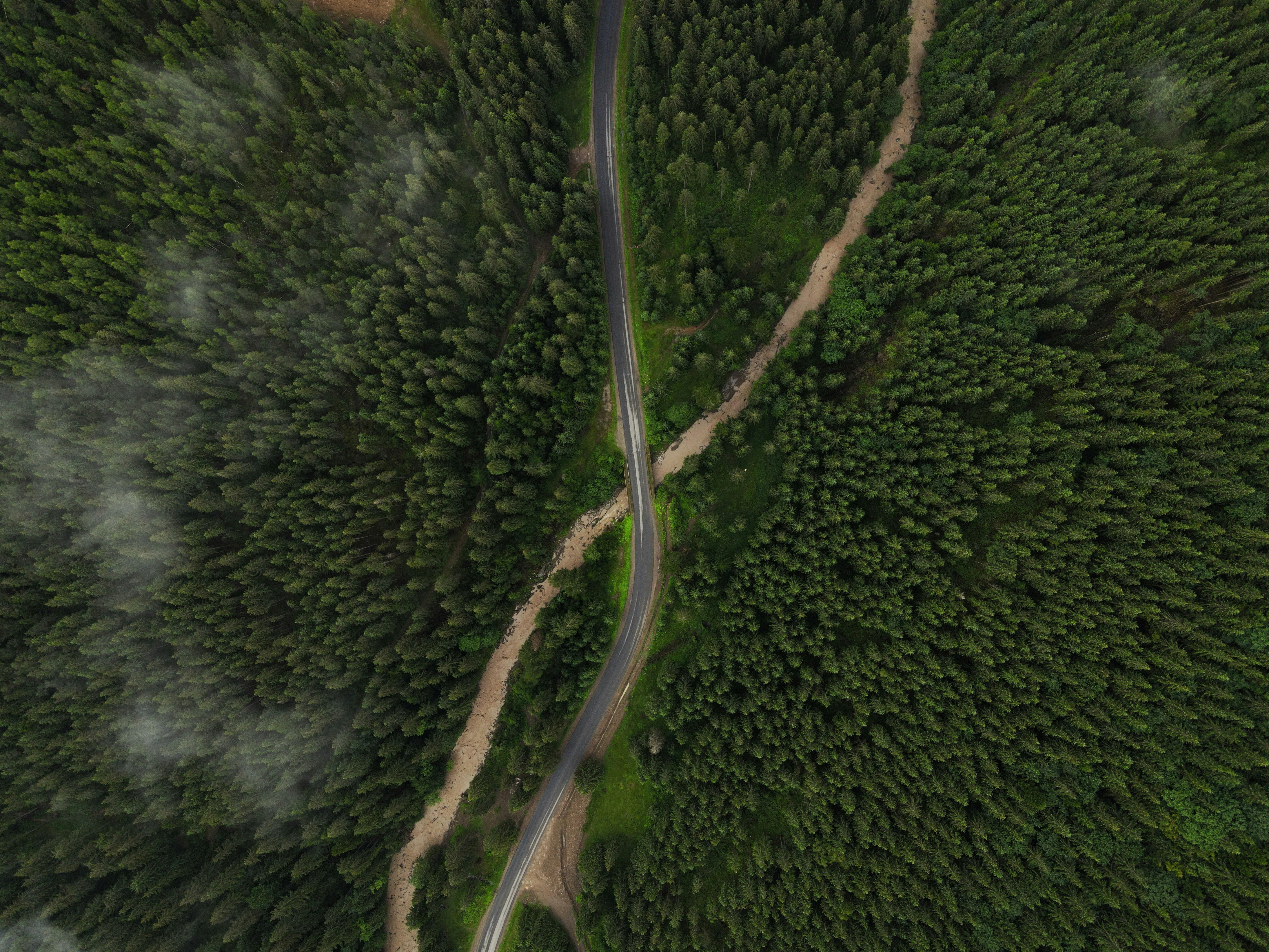 Roadless, Not Reckless