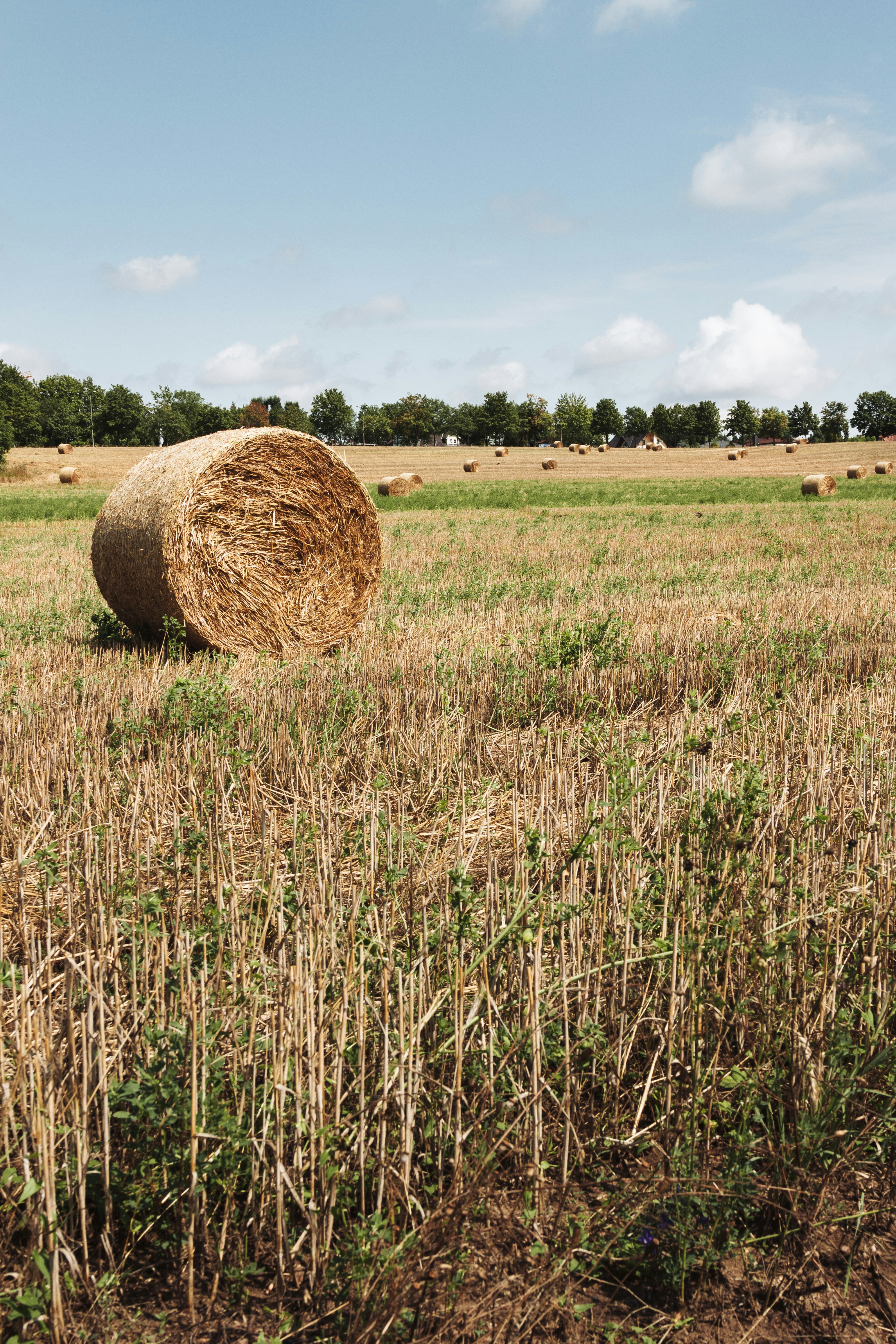 Photo by nikita_pishchugin