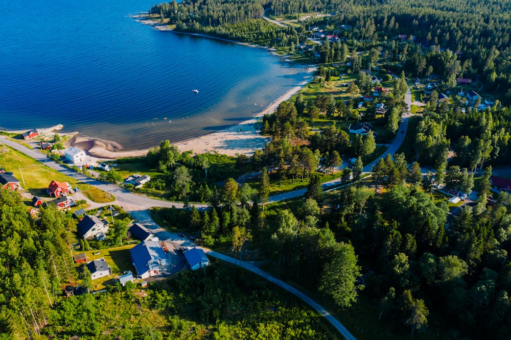 aerial view of green trees and body of water during daytime