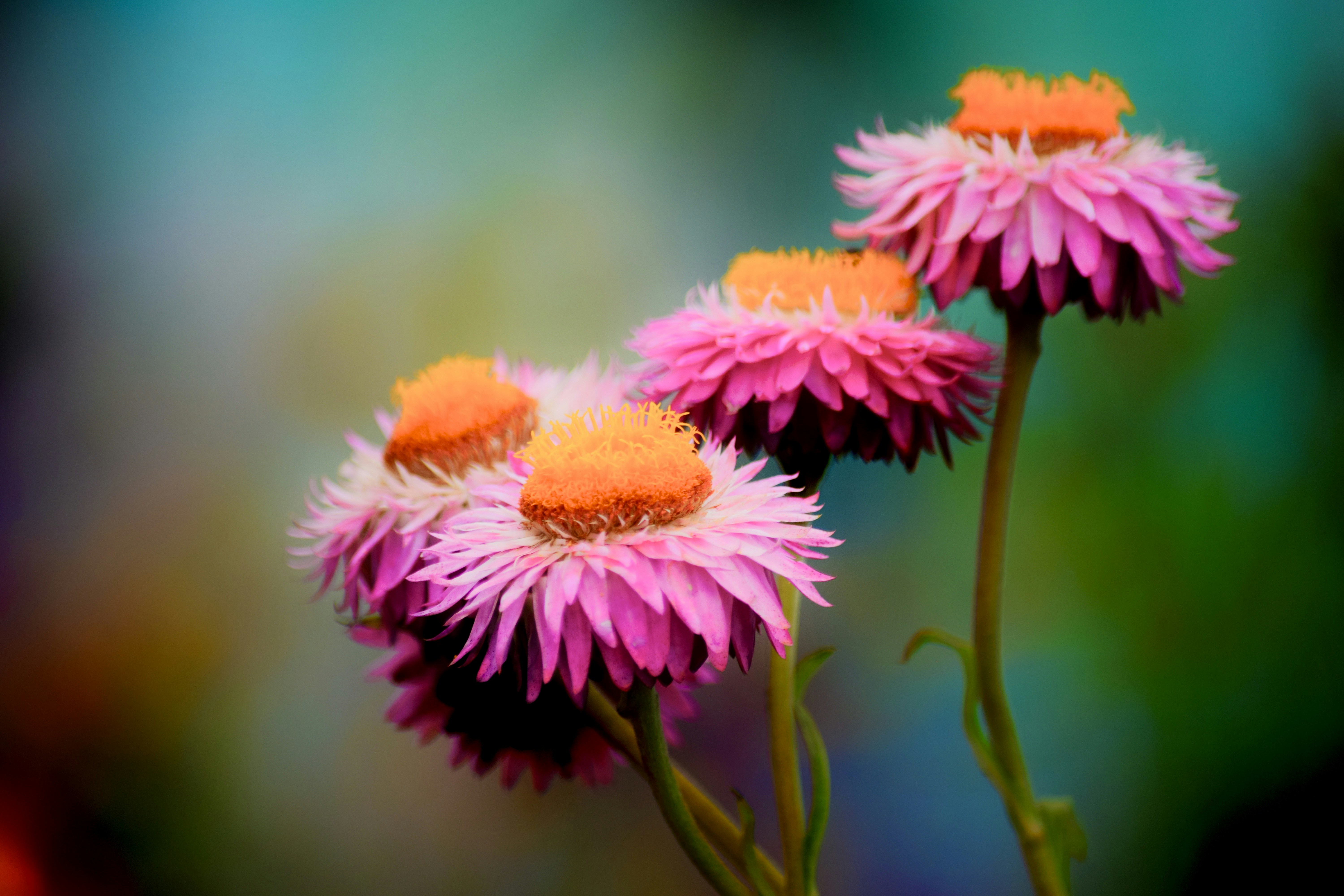 Photo by rrajputphotography