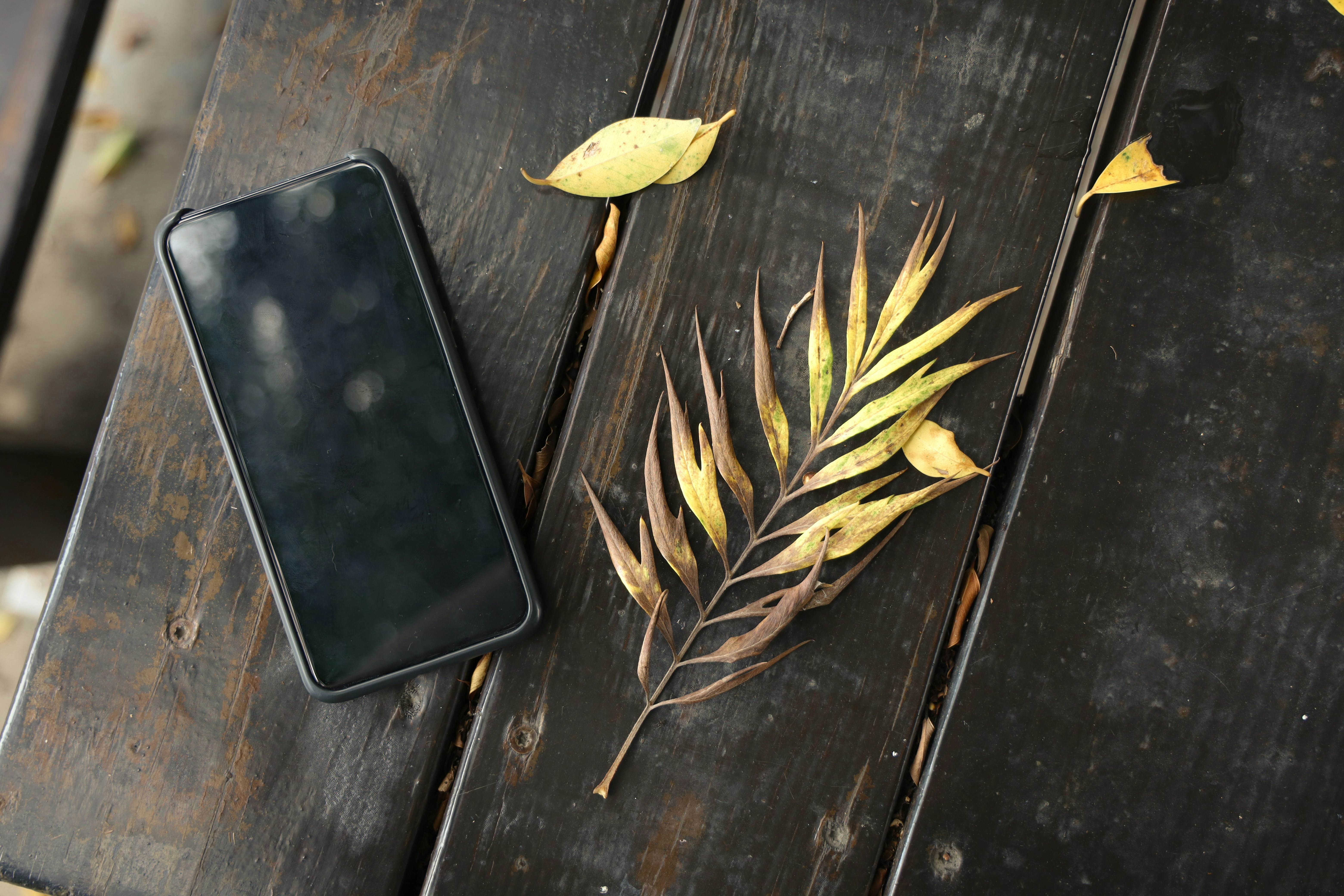 10 Mobile Tech Reviews Advantages of Buying Refurbished Smartphones 2025
