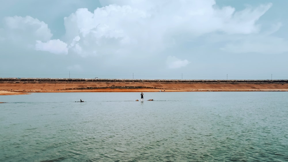 people on beach during daytime