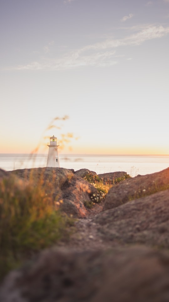 white lighthouse on top of hill near body of water during daytime in Cape Spear Canada