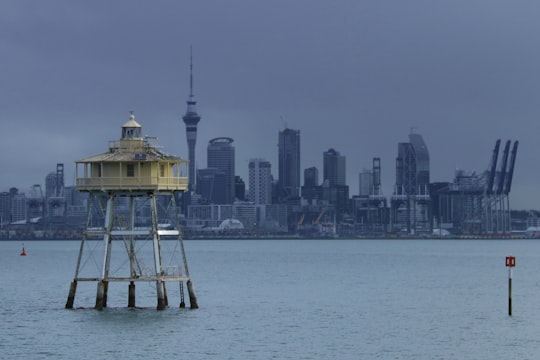 white and brown wooden dock on sea during daytime in Waitemata Harbour New Zealand