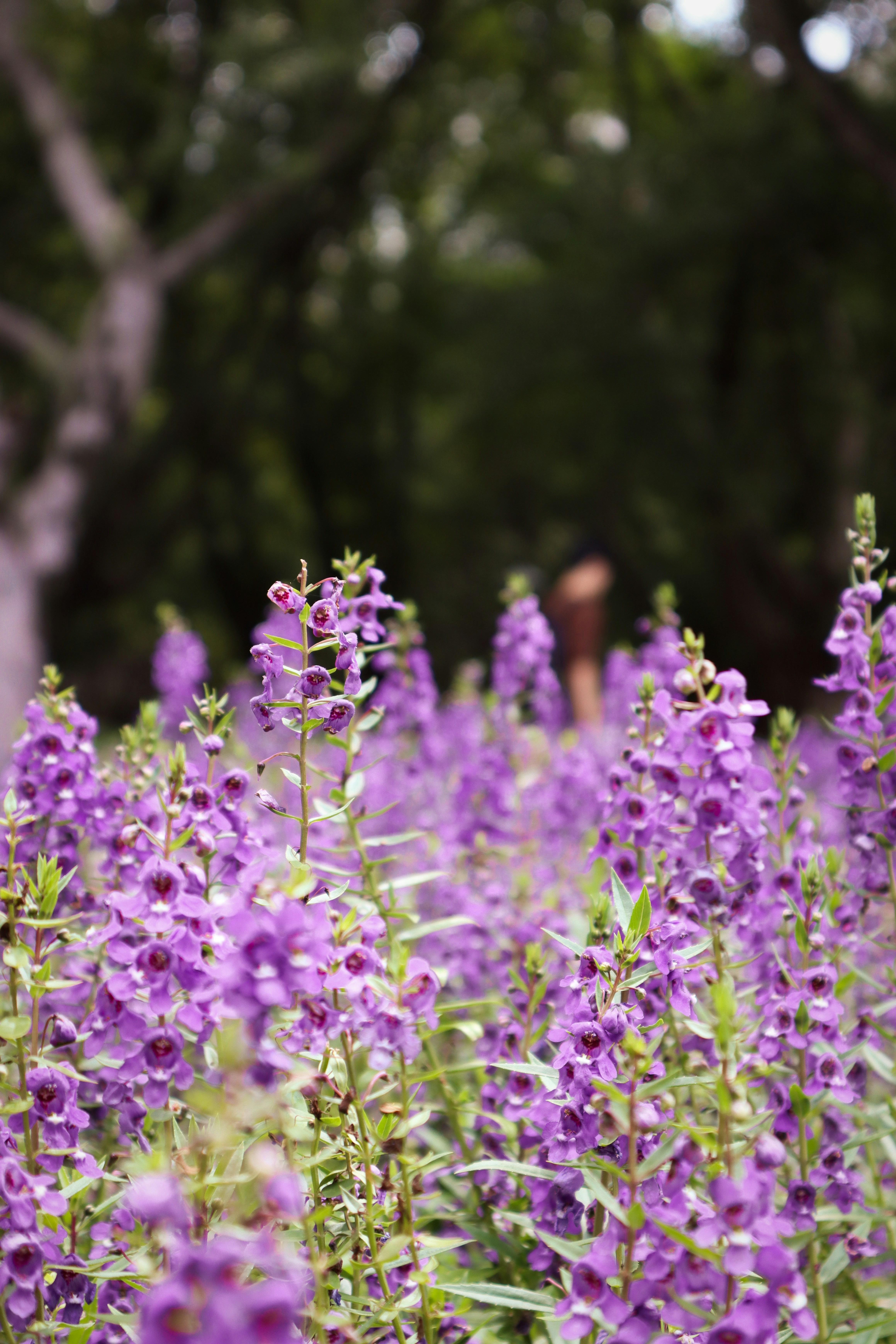 Photo by benjamin_1017