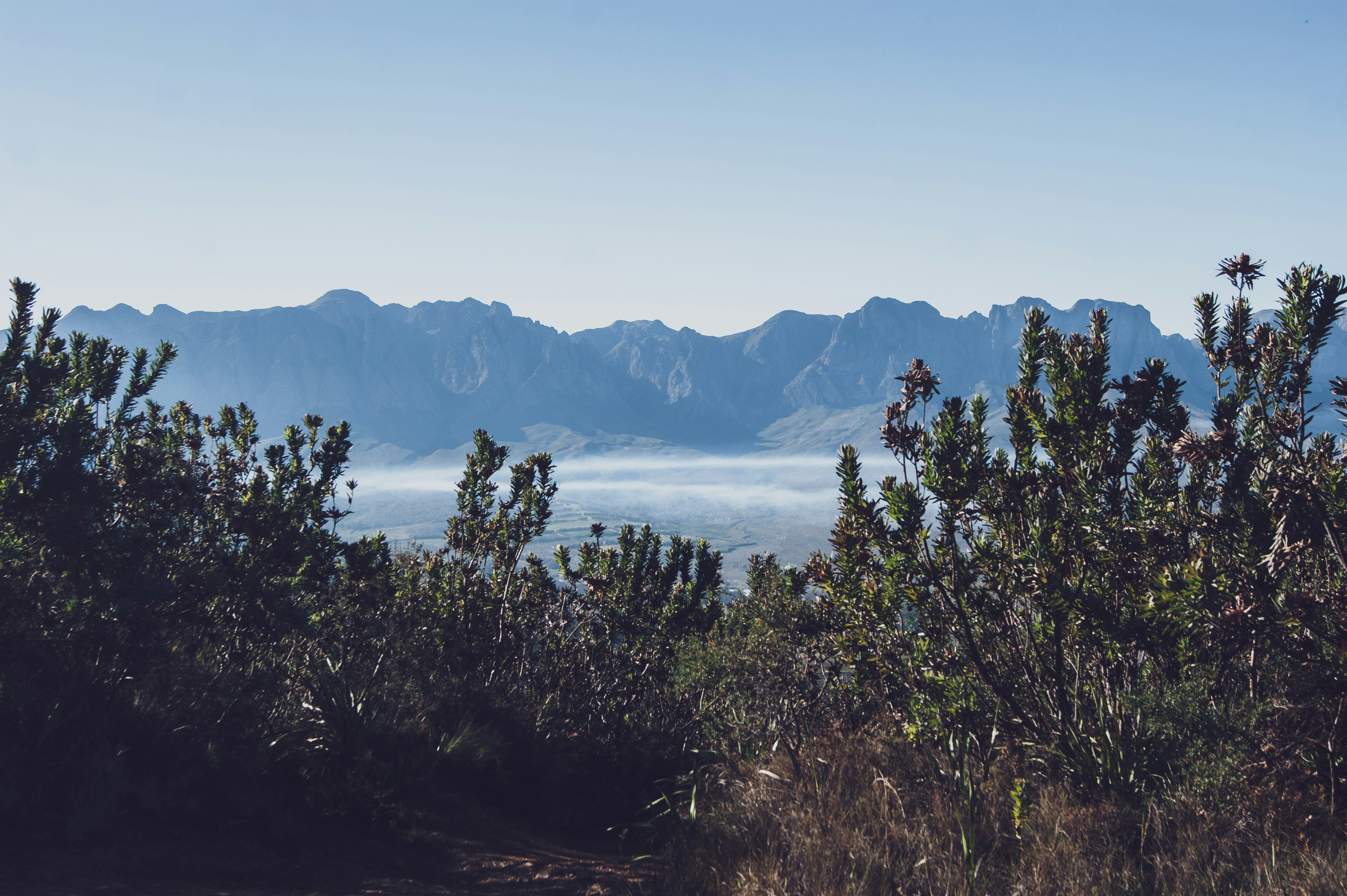 Photo by jbonunsplash