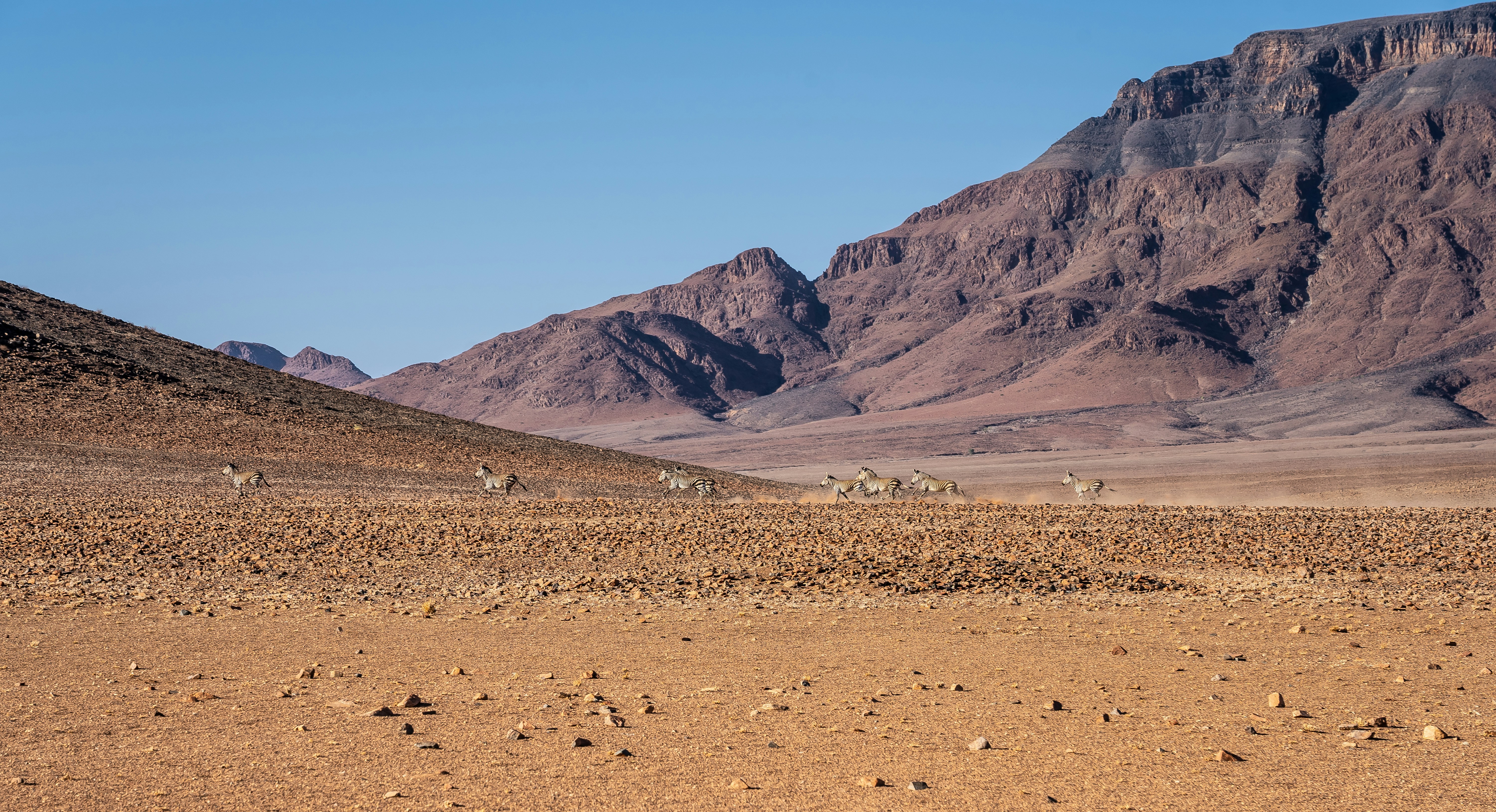 Photo by eelco_bohtlingk