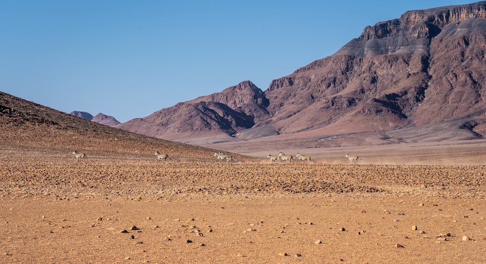 brown sand and brown mountains during daytime