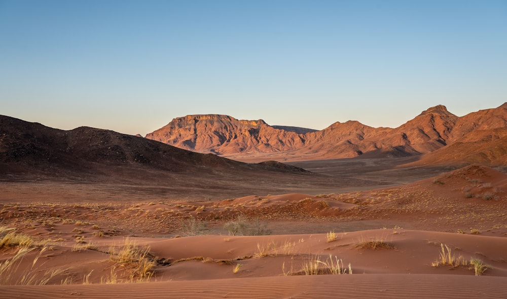 brown mountain near body of water during daytime