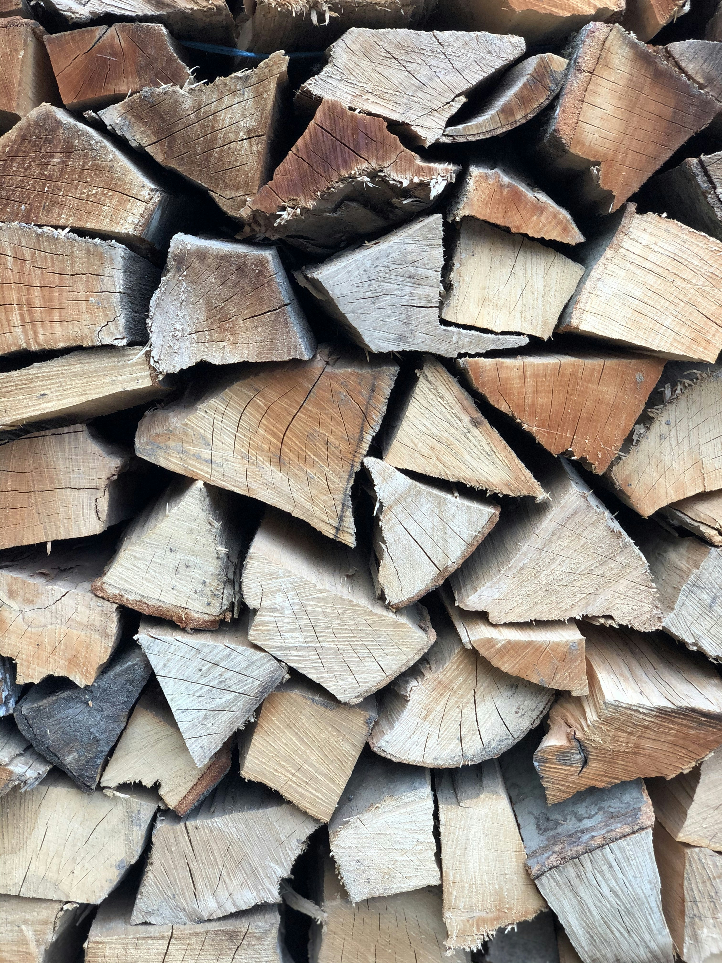 Photo by laviniagrecu