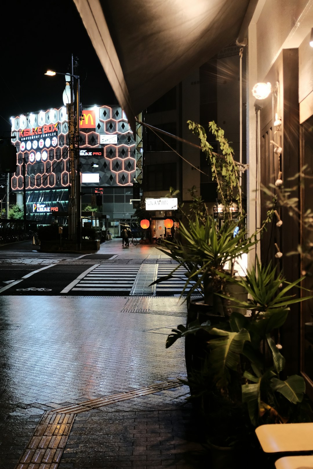 green plant near brown building during night time