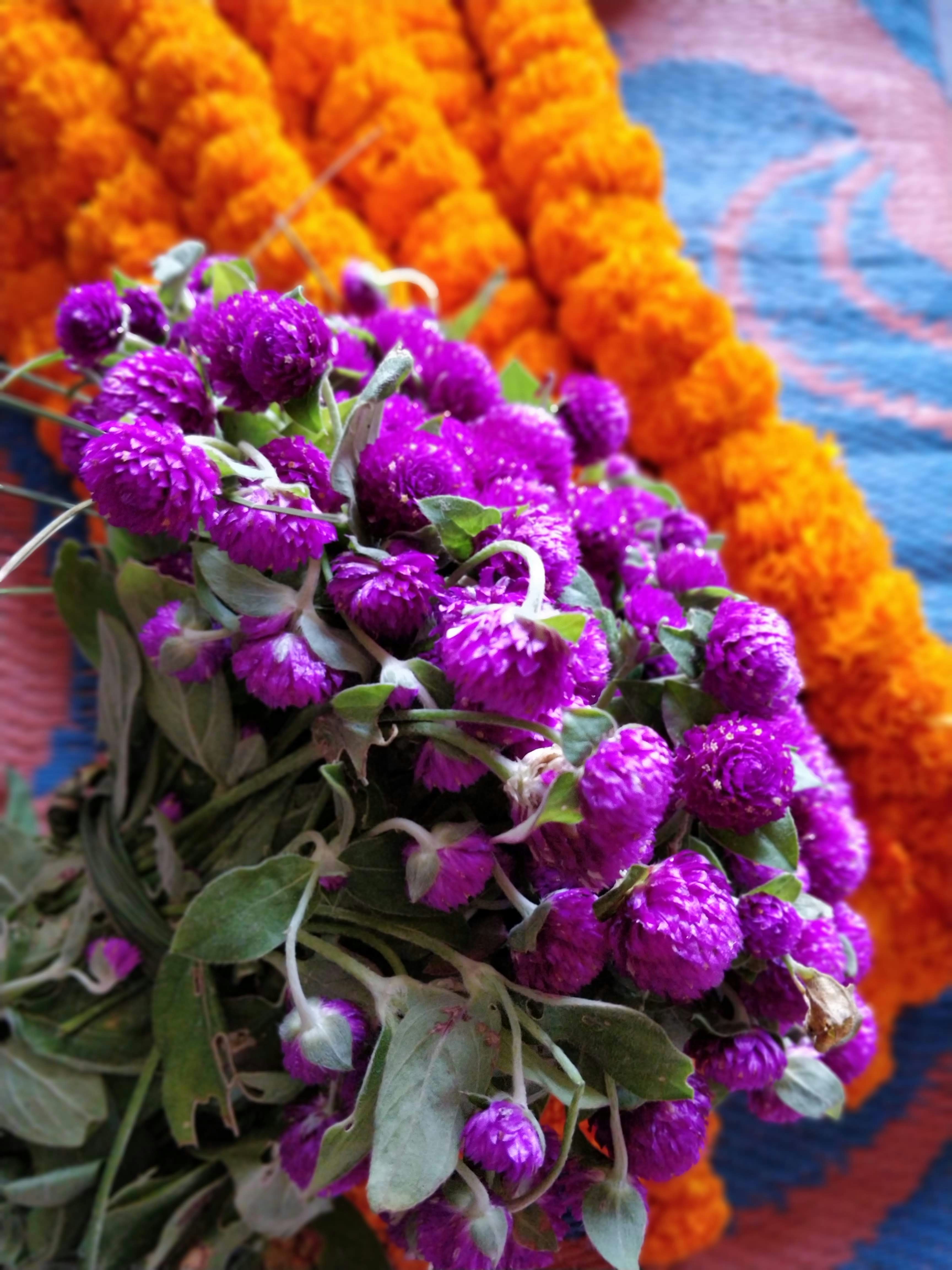 Postpetals Bloom Box