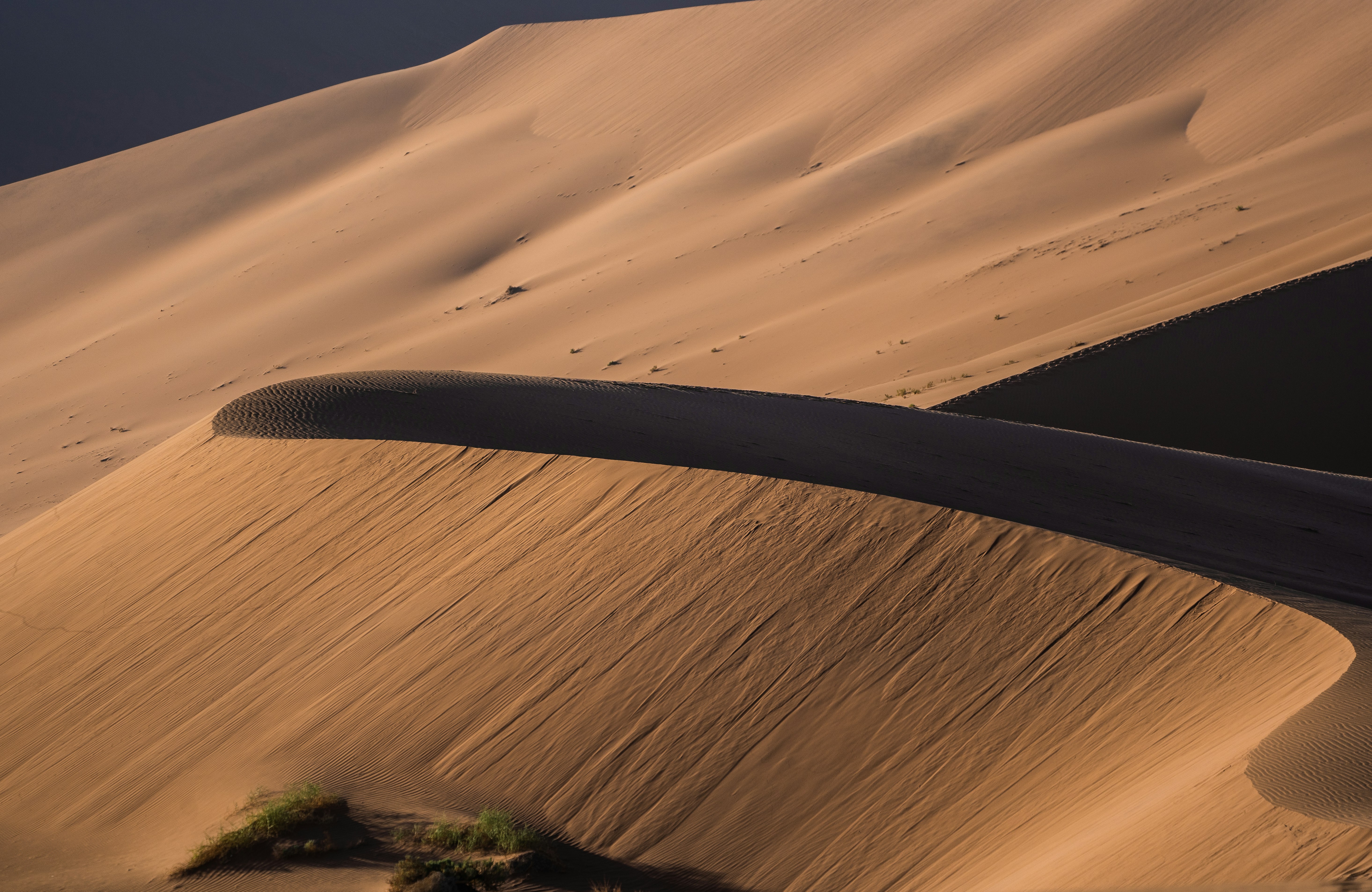 Photo by eelco_bohtlingk