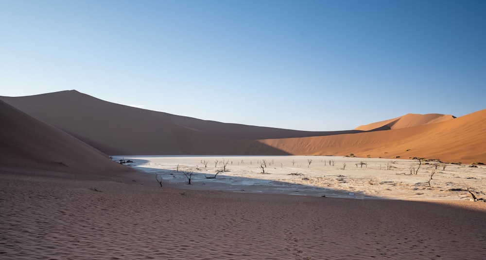 people walking on brown sand beach during daytime