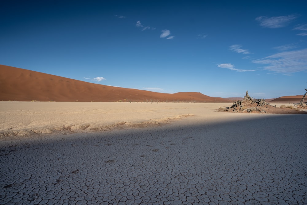 brown sand under blue sky during daytime