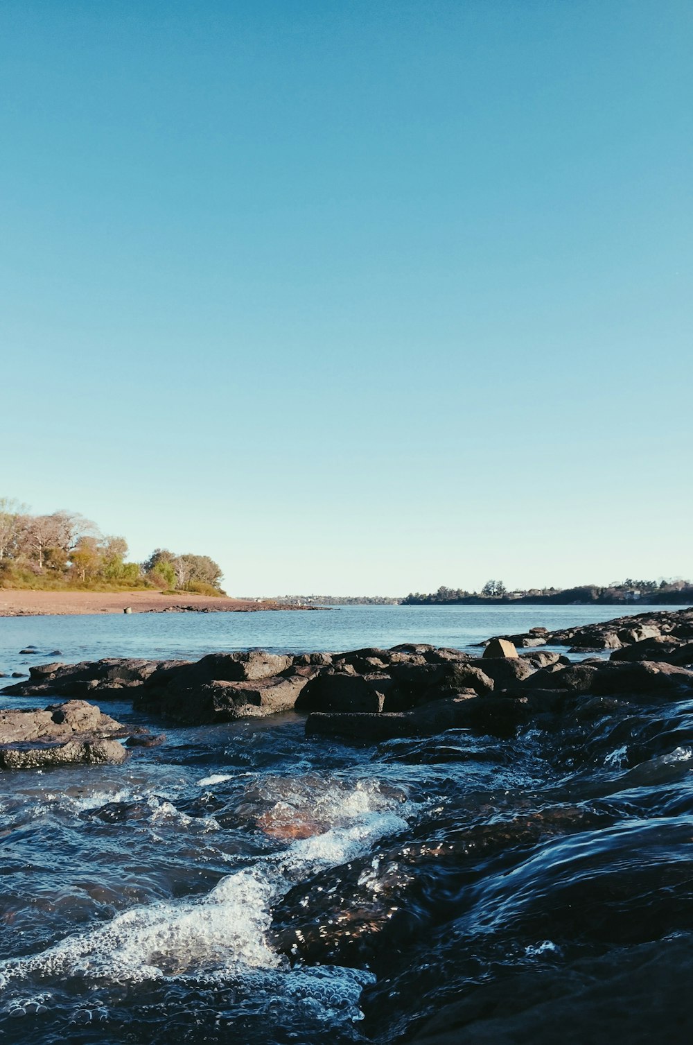 Rivage rocheux avec des rochers et des arbres sous le ciel bleu pendant la journée