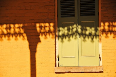 white wooden door on brown brick wall louisiana zoom background