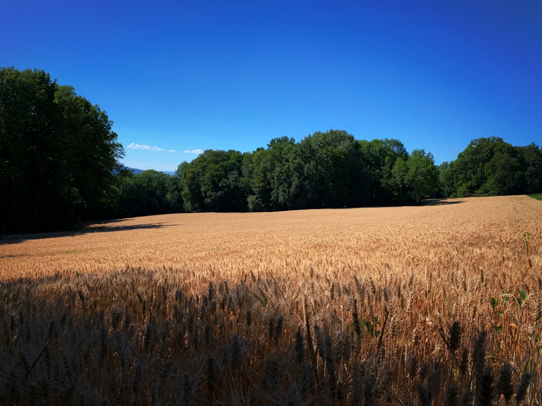 Plain photo spot 73100 Trévignin France