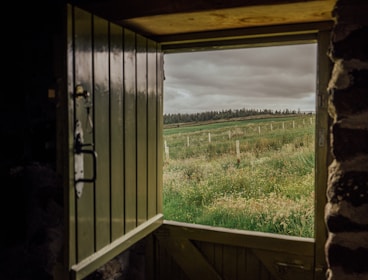 An open door revealing colourful landscapes symbolizing new social adventures.